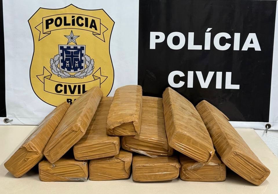 Capa: Polícia Civil prende suspeito com 20 quilos de maconha em Lauro de Freitas