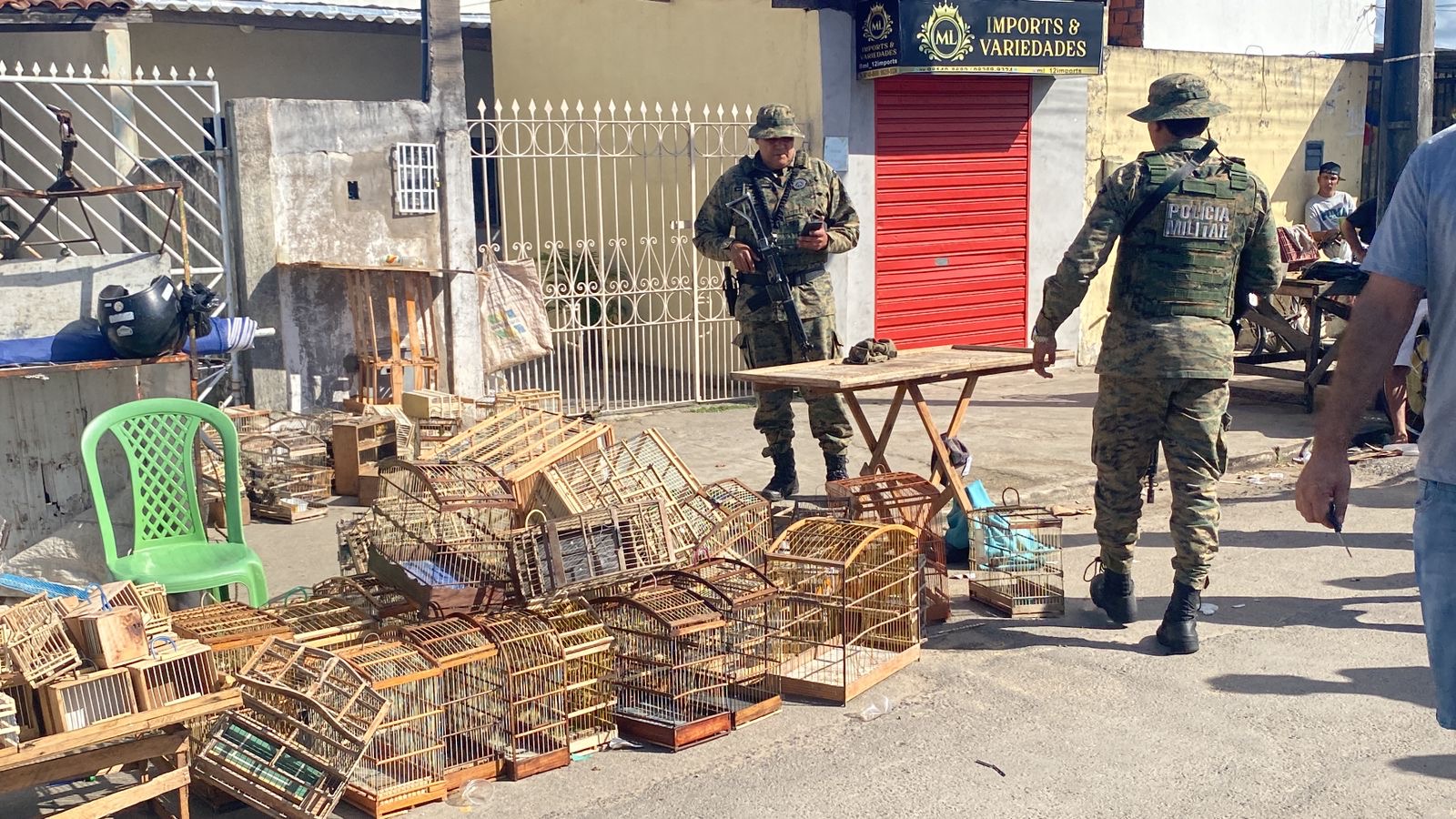 Capa: Em Feira de Santana, 15 homens são flagrados pela PM com aves silvestres