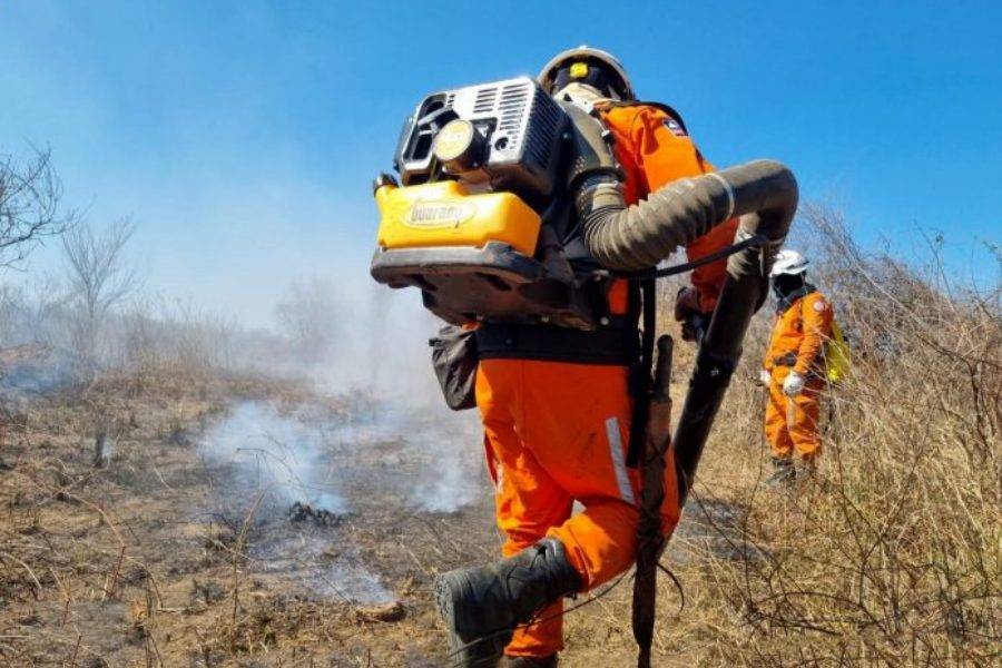 Capa: Corpo de Bombeiros atua na 3ª etapa do Bahia Sem Fogo no norte do estado